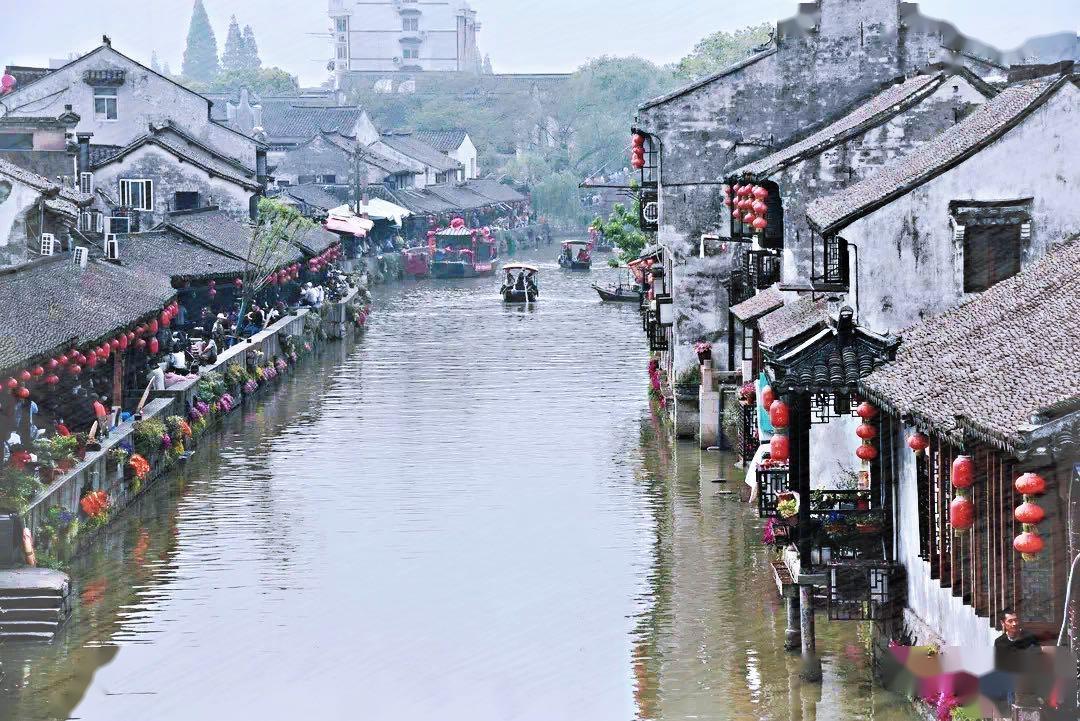 拯救精灵的土地10